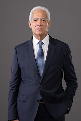 Mario Fermín Castillo Miembro Consejo De Administración AFI Universal